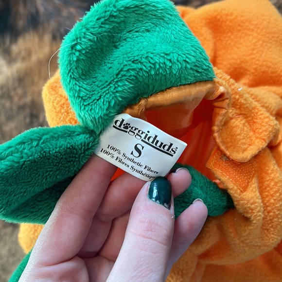 Pumpkin dog costume - Picture 3 of 3